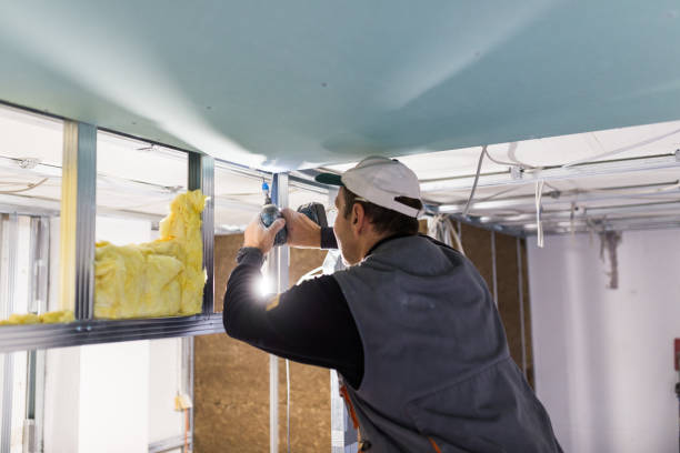 Best Types of Insulation in Lake Morton Berrydale, WA