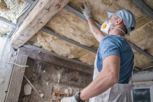 Best Residential Insulation in Lake Morton Berrydale, WA